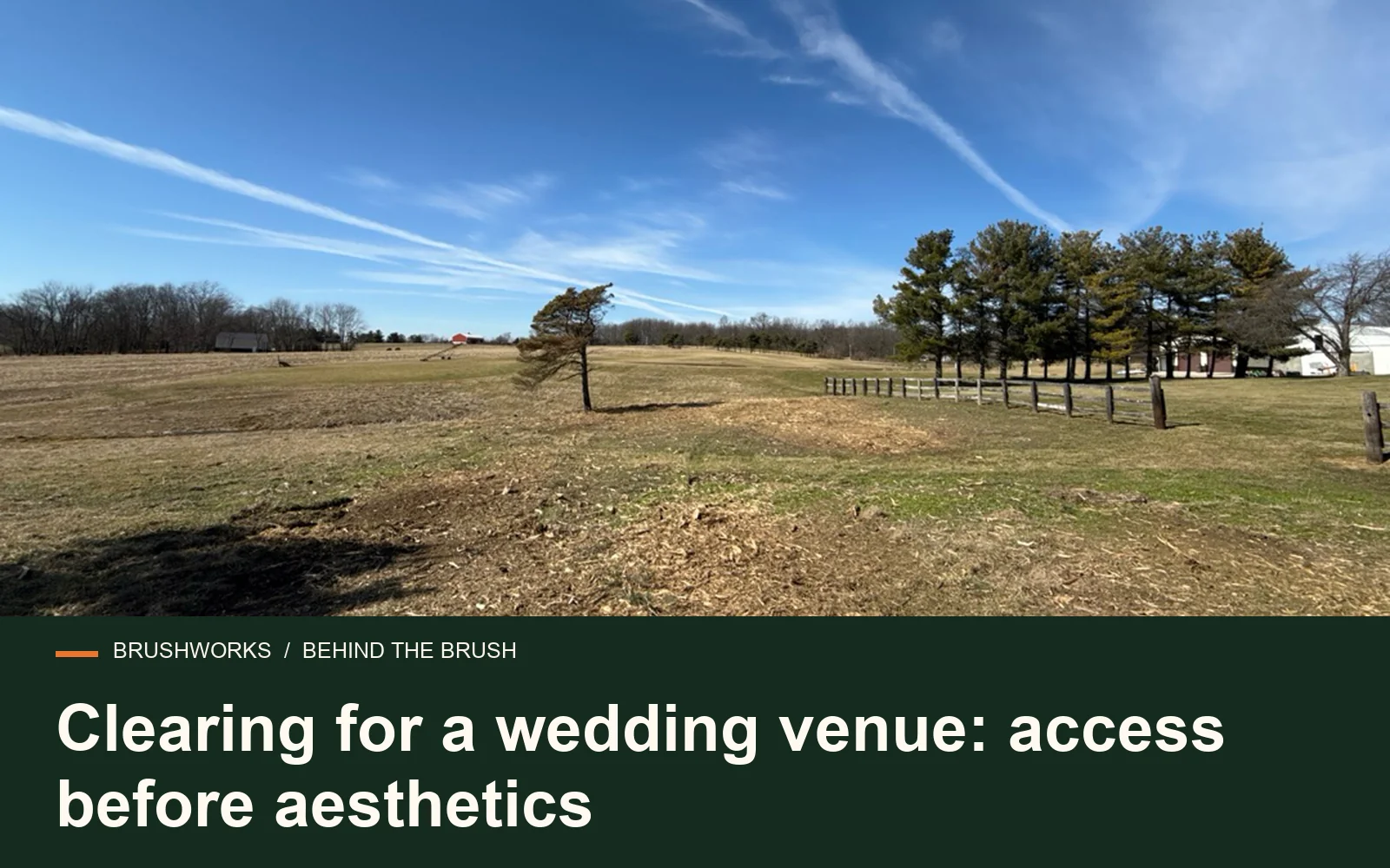 Clearing for a wedding venue: access before aesthetics — Brushworks field photography