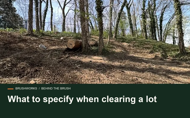 What to specify when clearing a lot