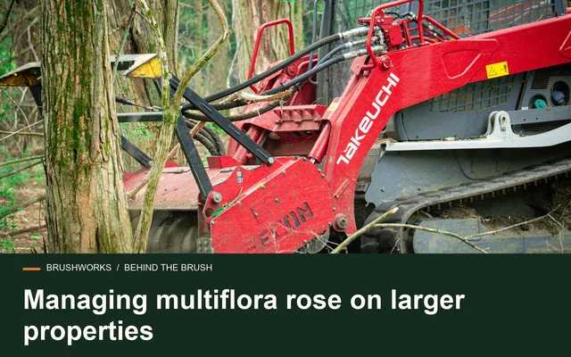 Managing multiflora rose on larger properties