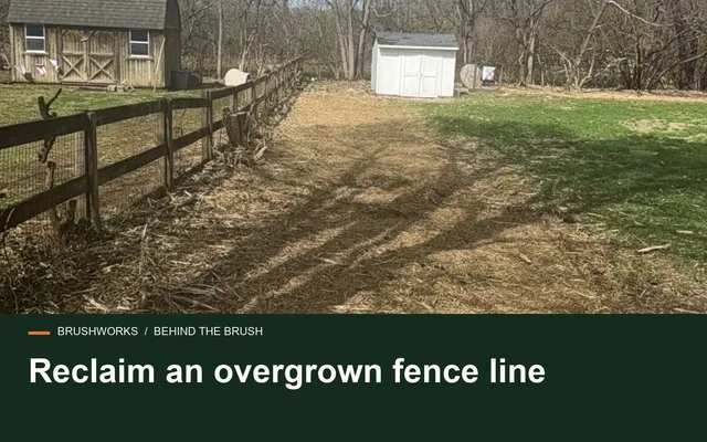 Reclaim an overgrown fence line