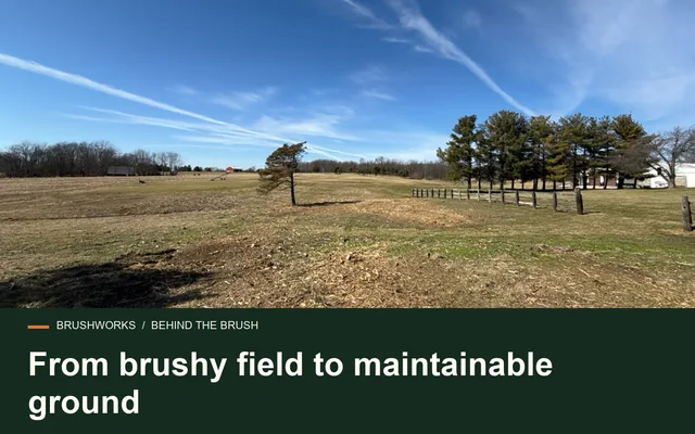 From brushy field to maintainable ground