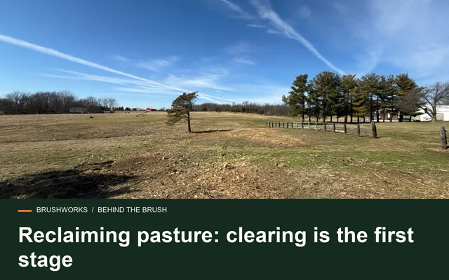 Reclaiming pasture: clearing is the first stage