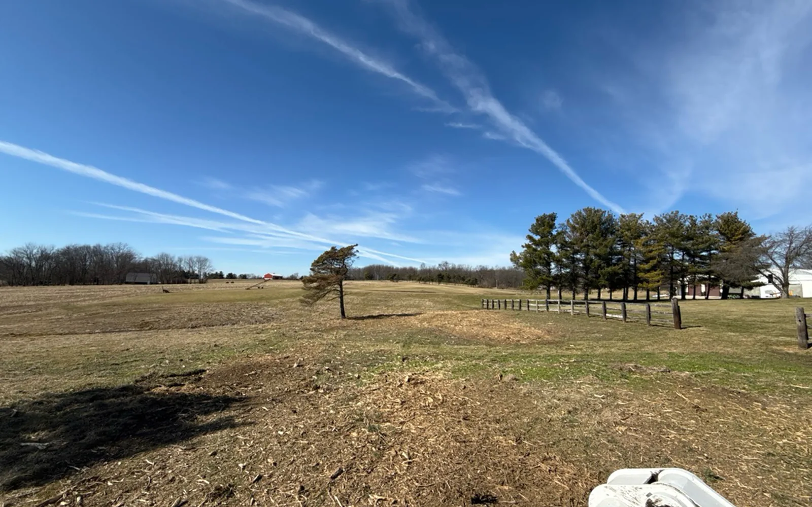 Open field right after the brush was mulched