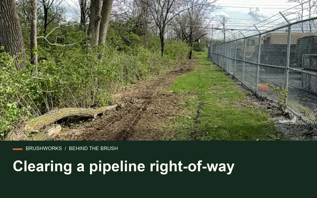 Clearing a pipeline right-of-way