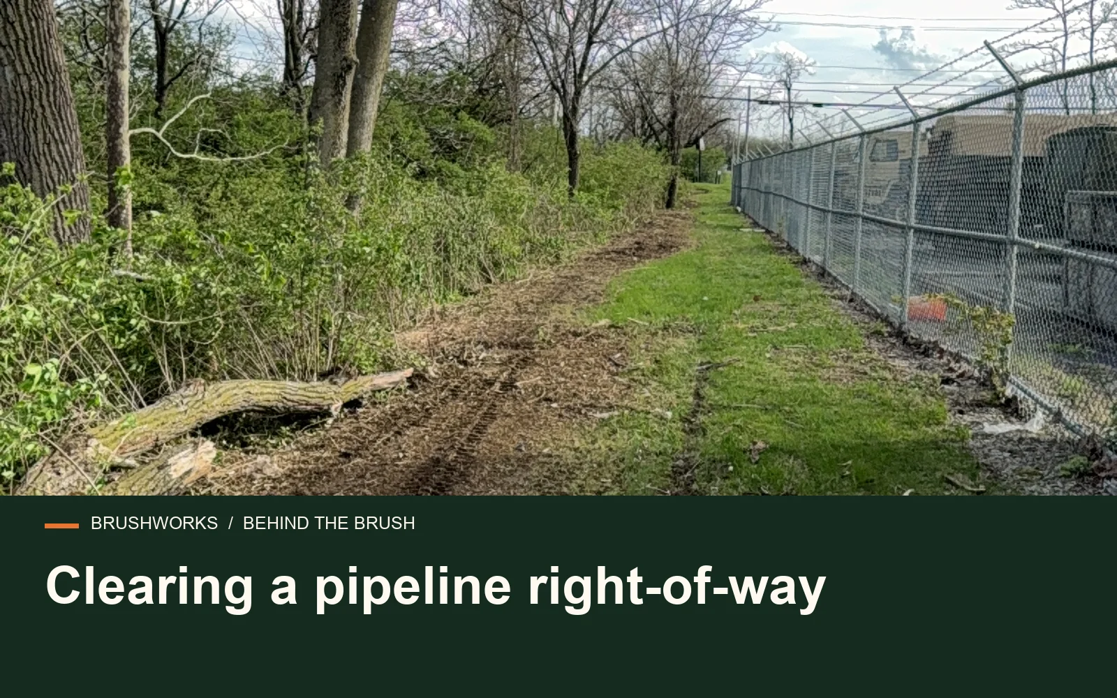Clearing a pipeline right-of-way — Brushworks field photography
