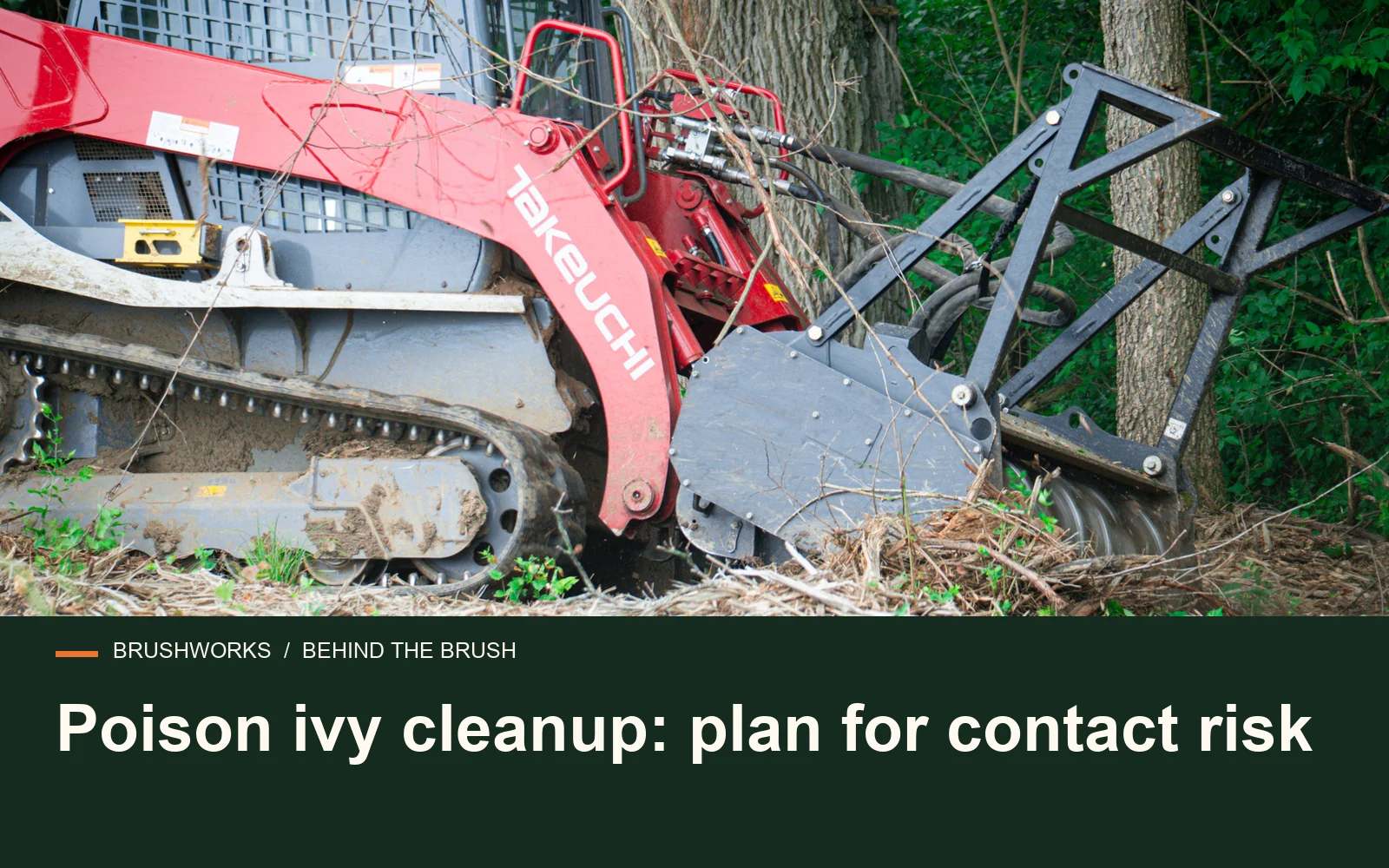 Poison ivy cleanup: plan for contact risk — Brushworks field photography