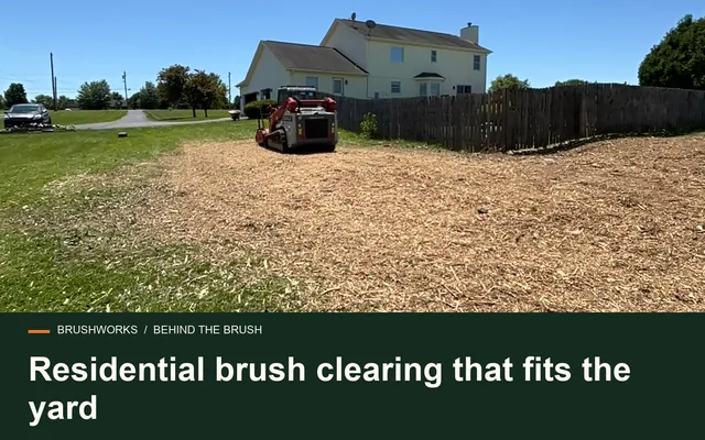Residential brush clearing that fits the yard