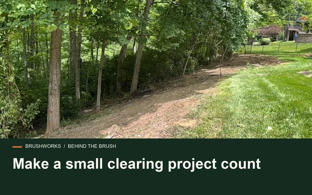 Make a small clearing project count