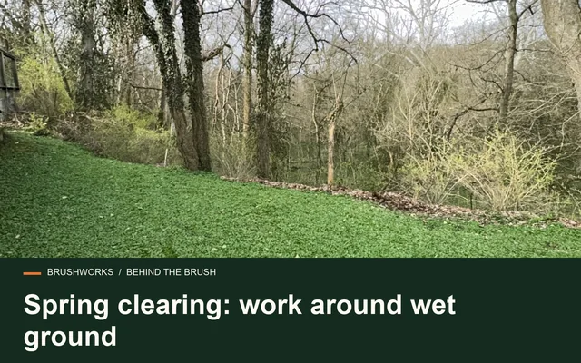 Spring clearing: work around wet ground