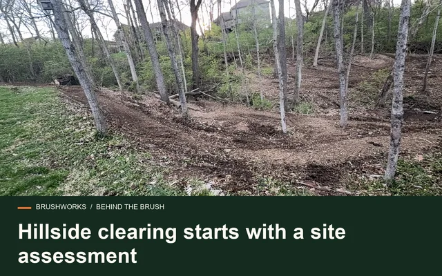 Hillside clearing starts with a site assessment