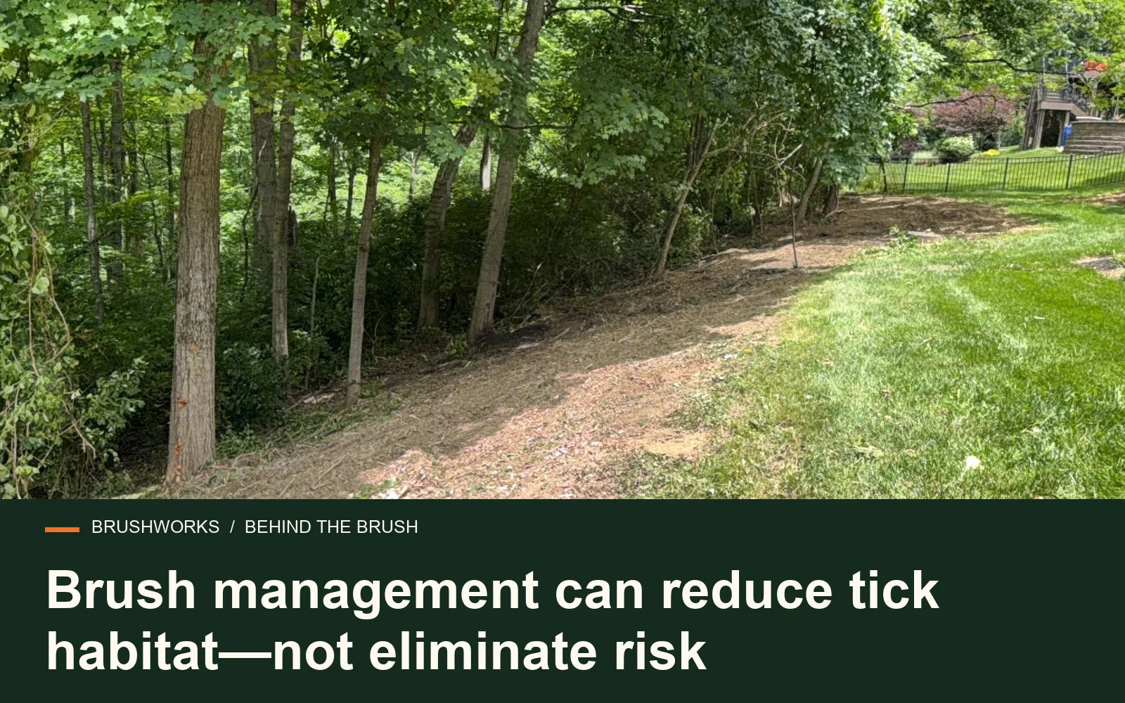 Brush management can reduce tick habitat—not eliminate risk — Brushworks field photography