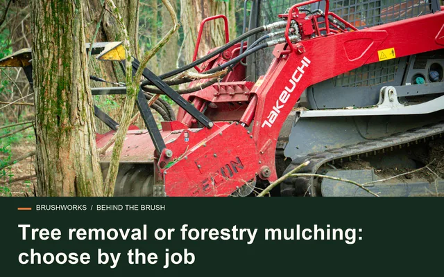 Tree removal or forestry mulching: choose by the job