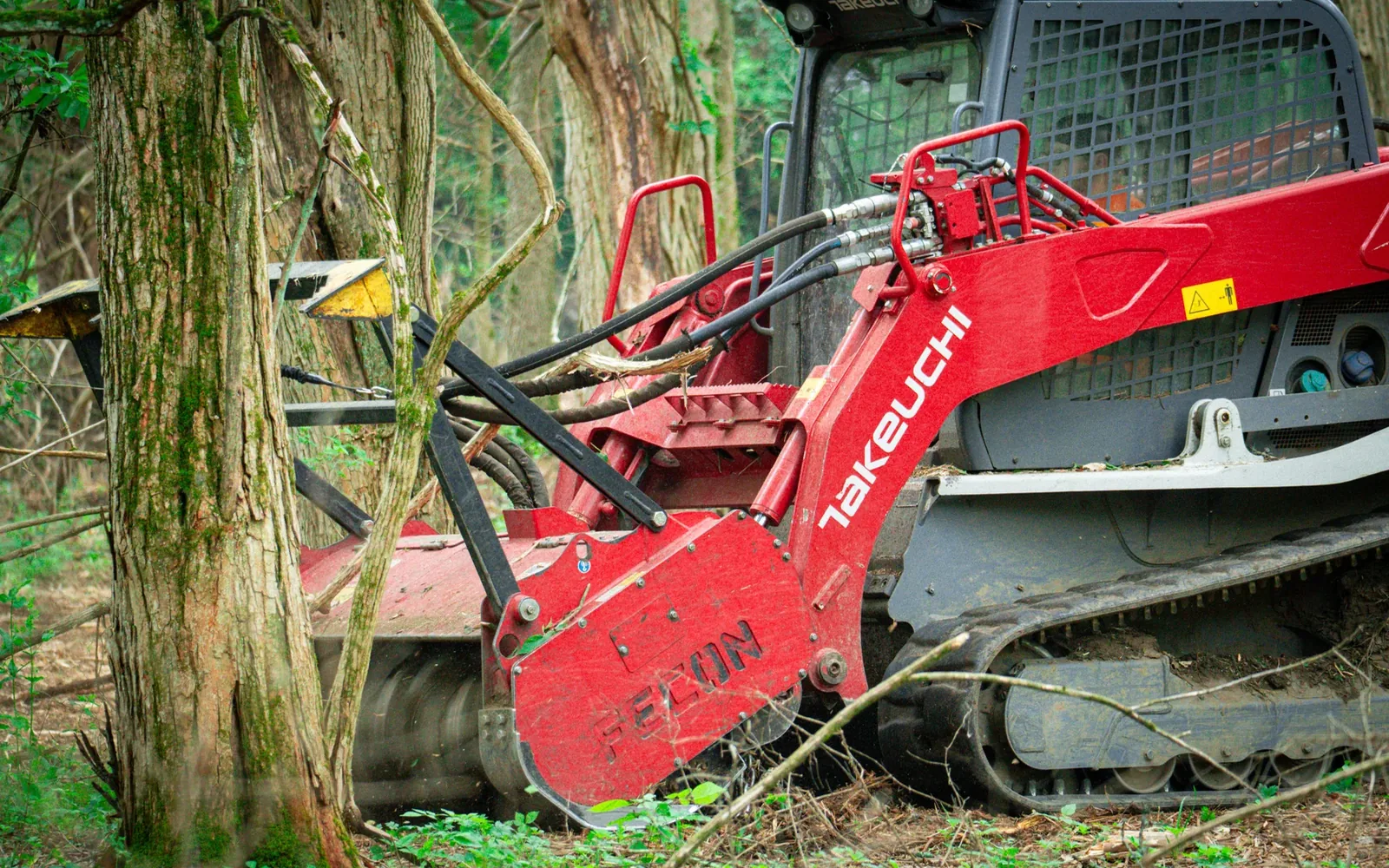 Tree removal or forestry mulching: choose by the job — Brushworks field photography