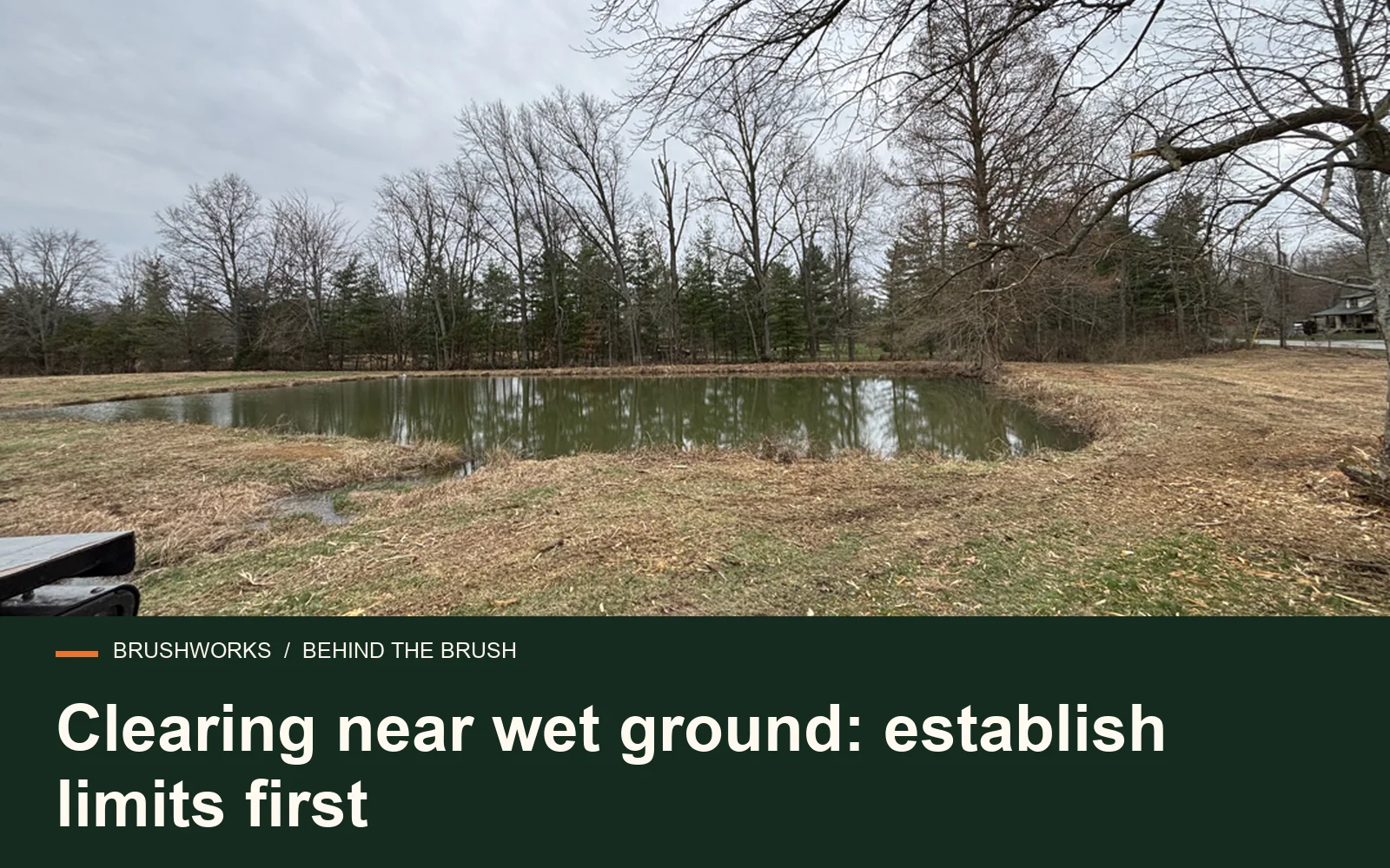Clearing near wet ground: establish limits first — Brushworks field photography
