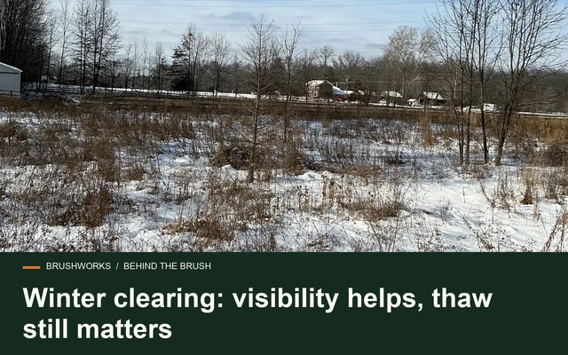 Winter clearing: visibility helps, thaw still matters