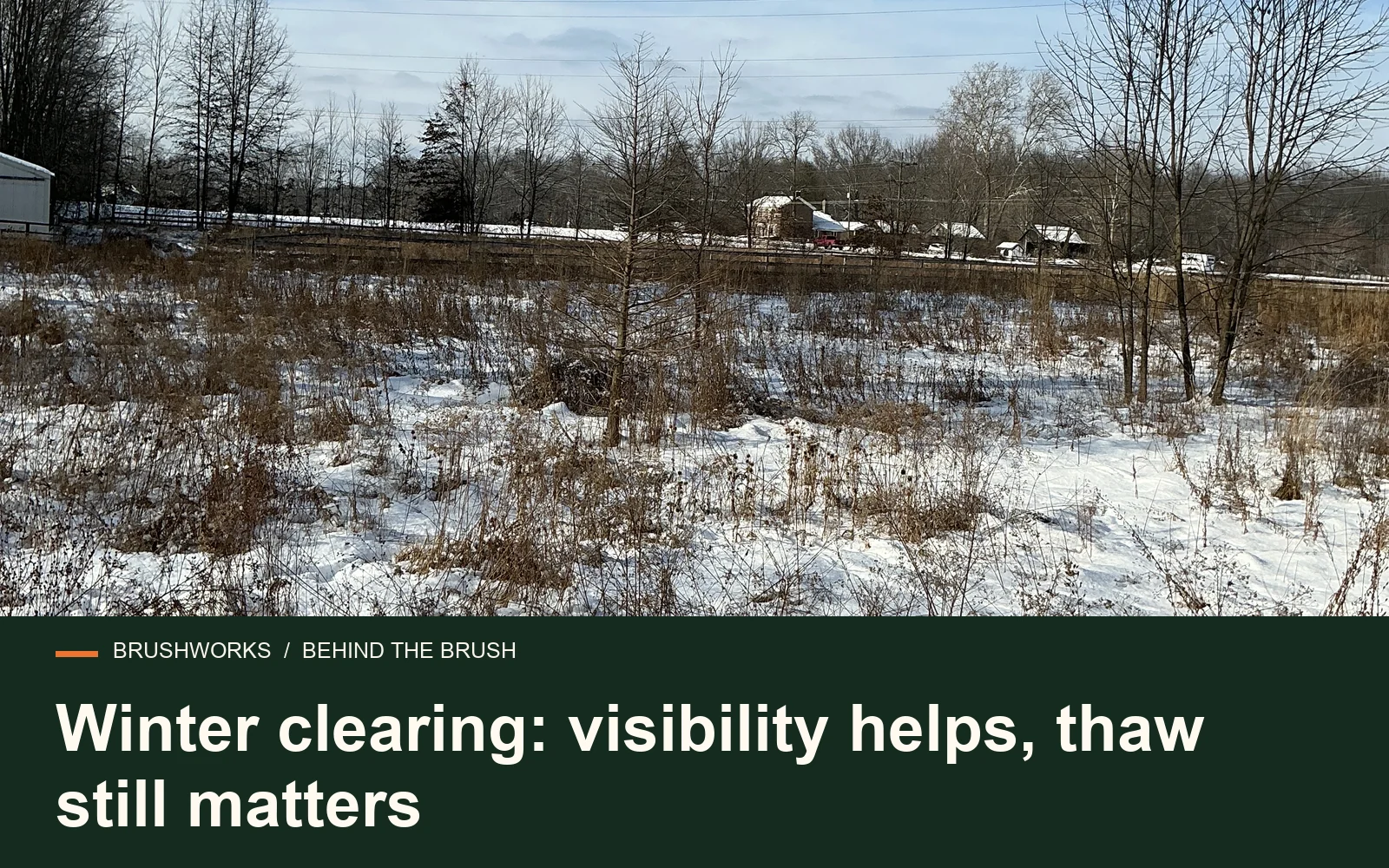 Winter clearing: visibility helps, thaw still matters — Brushworks field photography