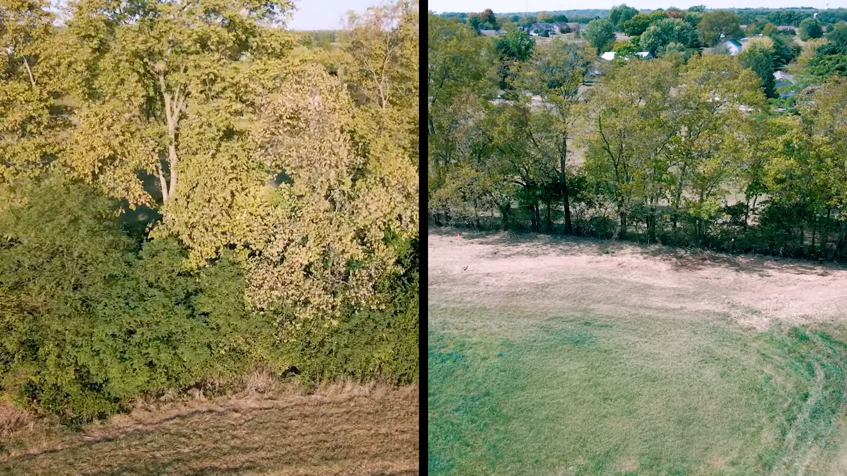 Before and after showing 20 acre fence line cleared using forestry mulching equipment