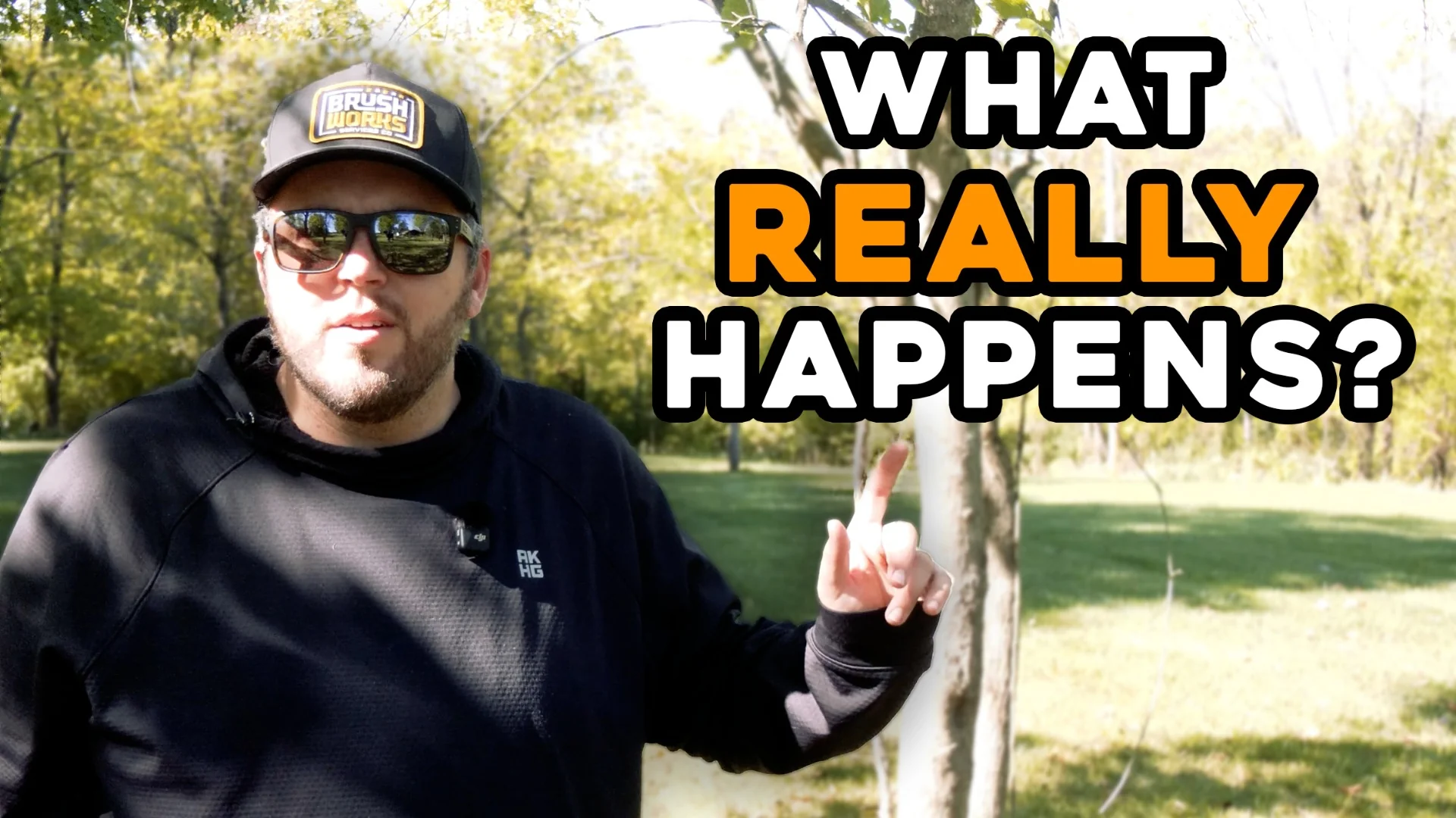 What Happens After Forestry Mulching? Timeline & Grass Regrowth Study