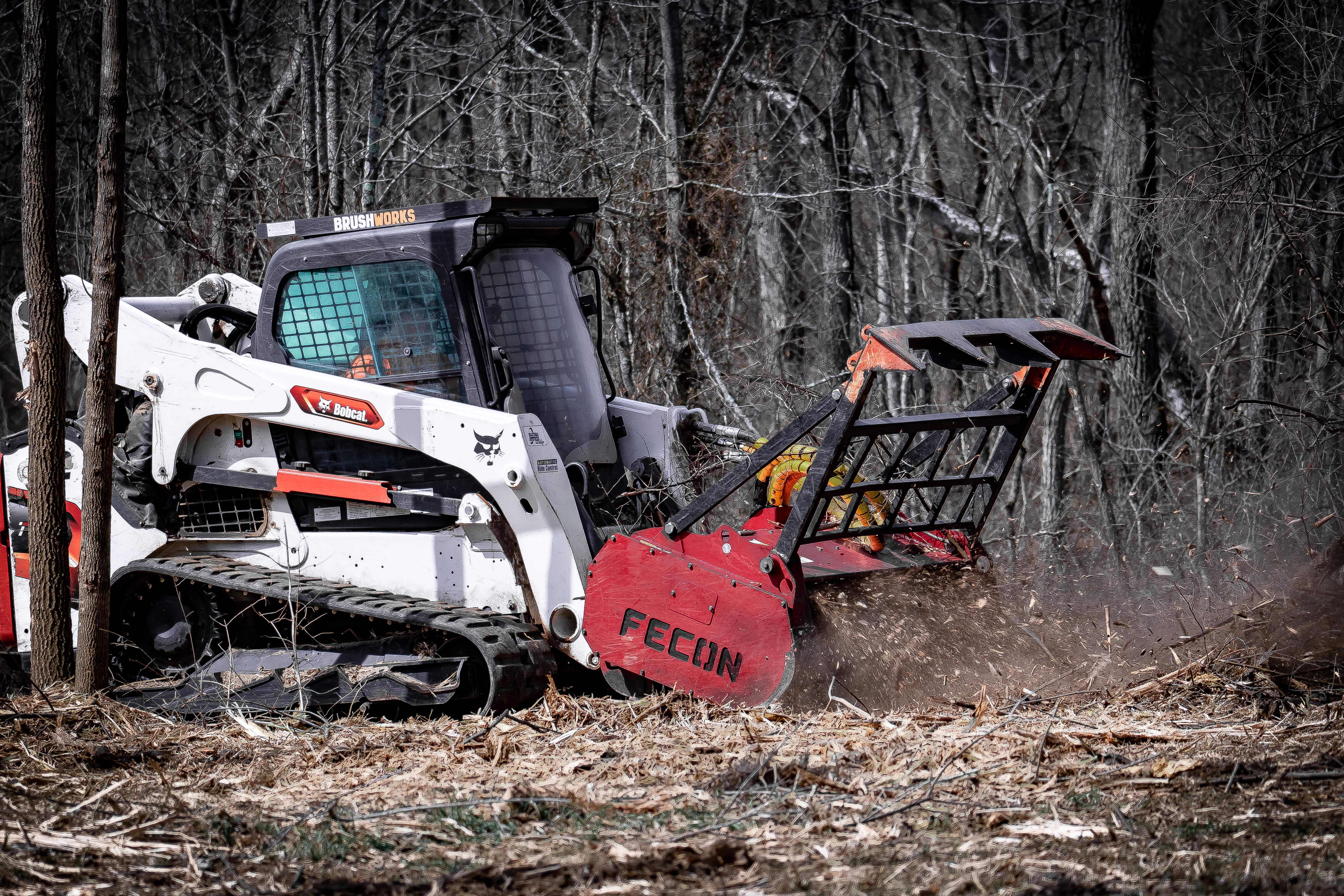 When Is the Best Time to Clear Land in Ohio? Complete Seasonal Guide for Cincinnati Property Owners