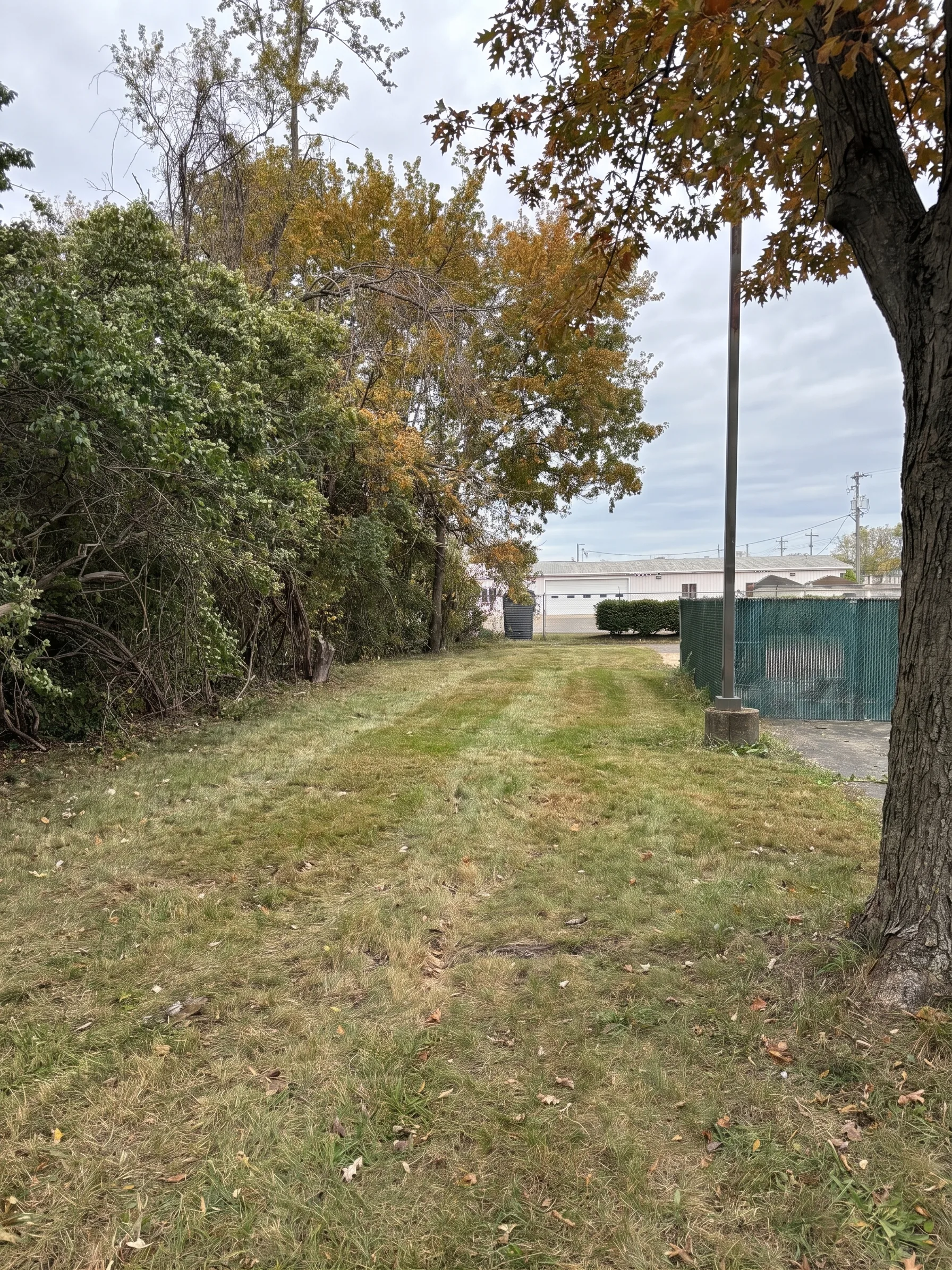 Fairfield Commercial Brush Clearing maintained by Brushworks