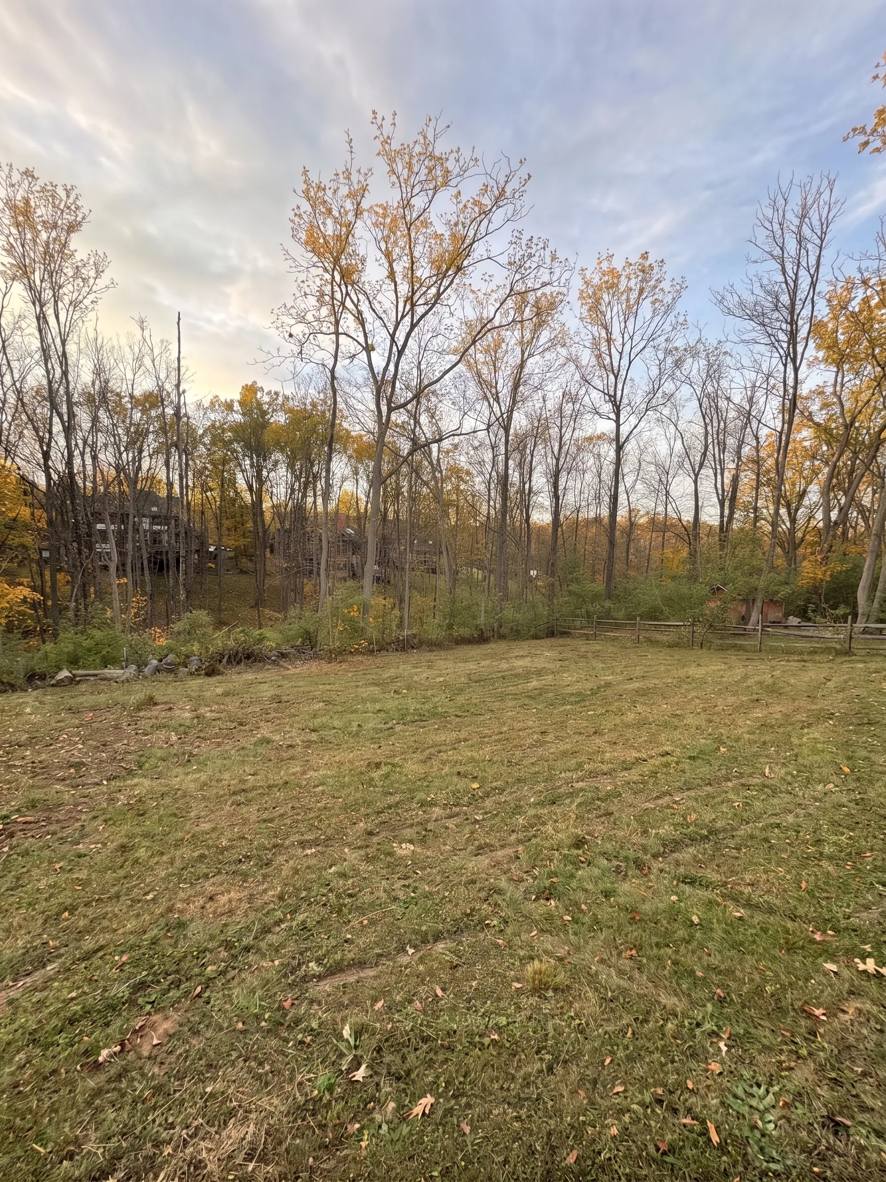 Back Yard Reclaim maintained by Brushworks