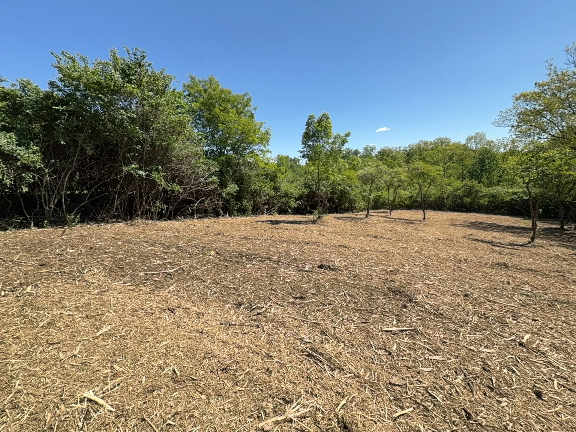 Property Opening after clearing by Brushworks