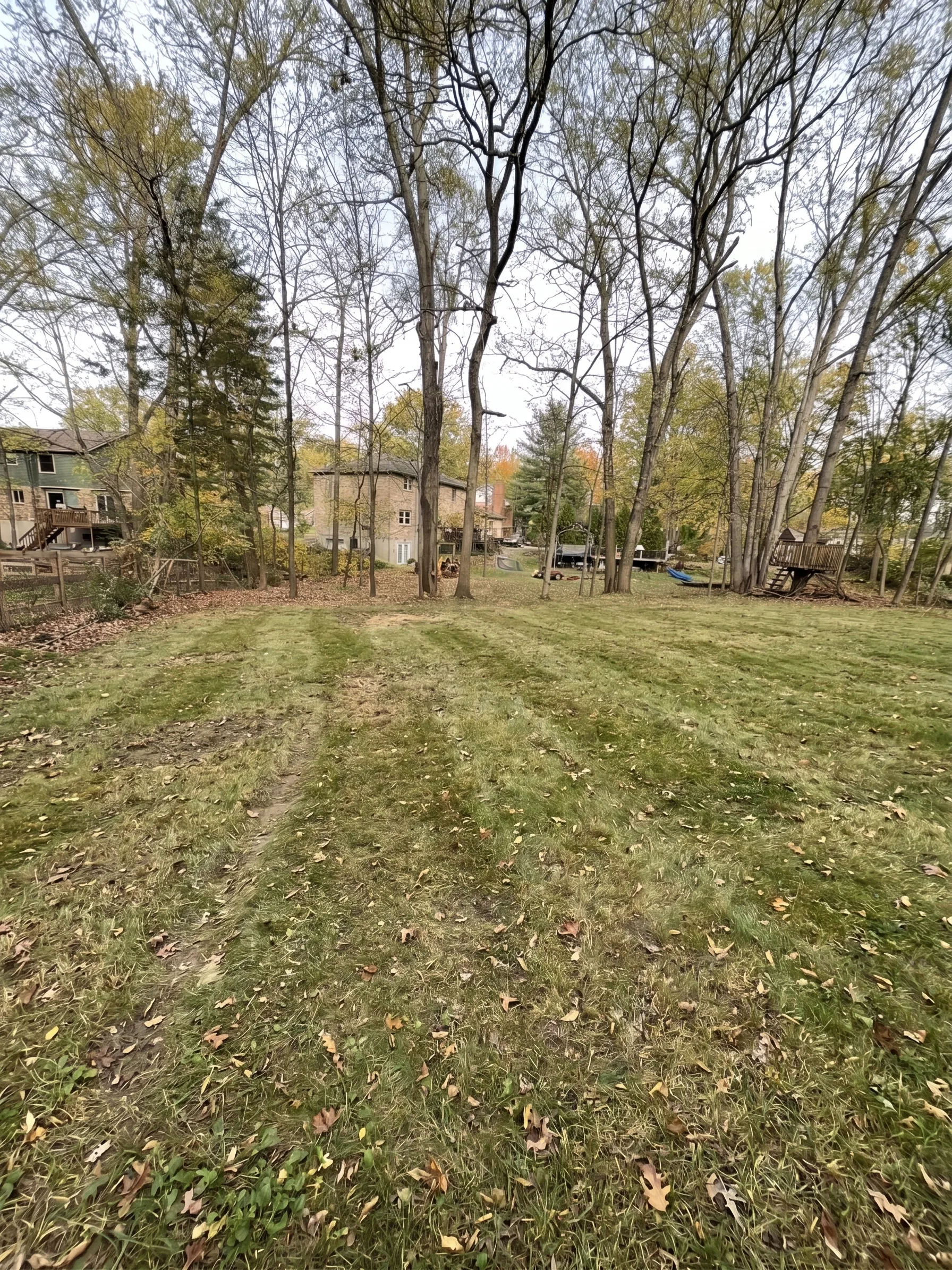 Forestry Mulching maintained by Brushworks