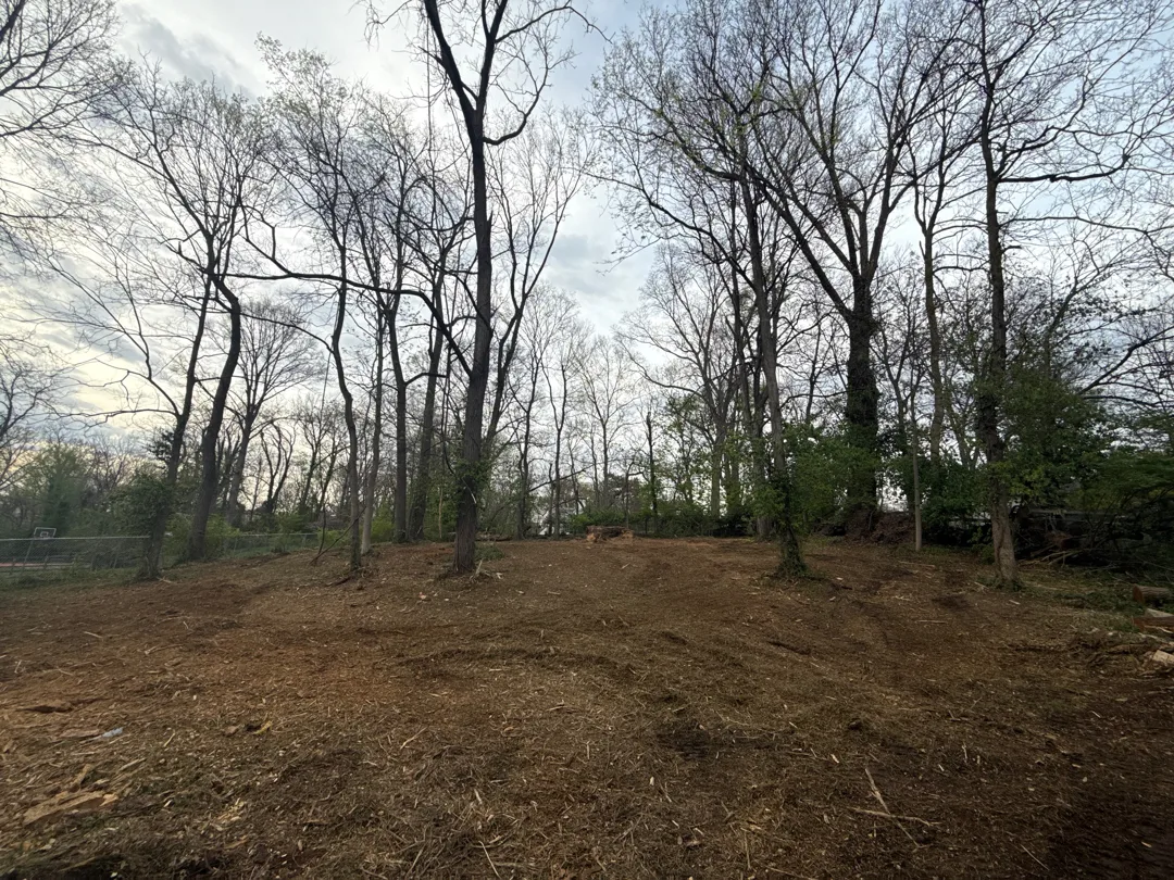 Woodline Opening after clearing by Brushworks