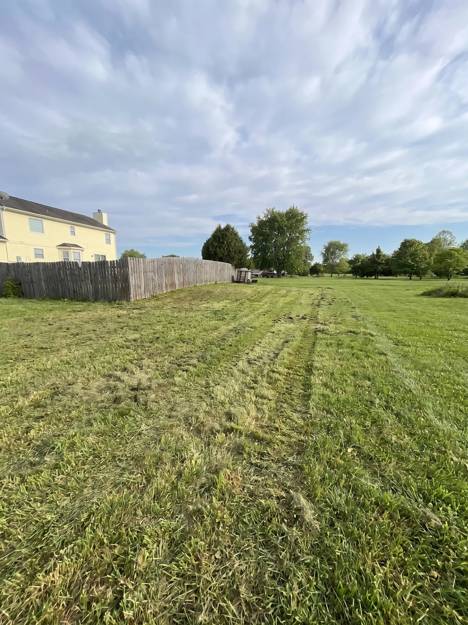 Back Yard Cleanup maintained by Brushworks
