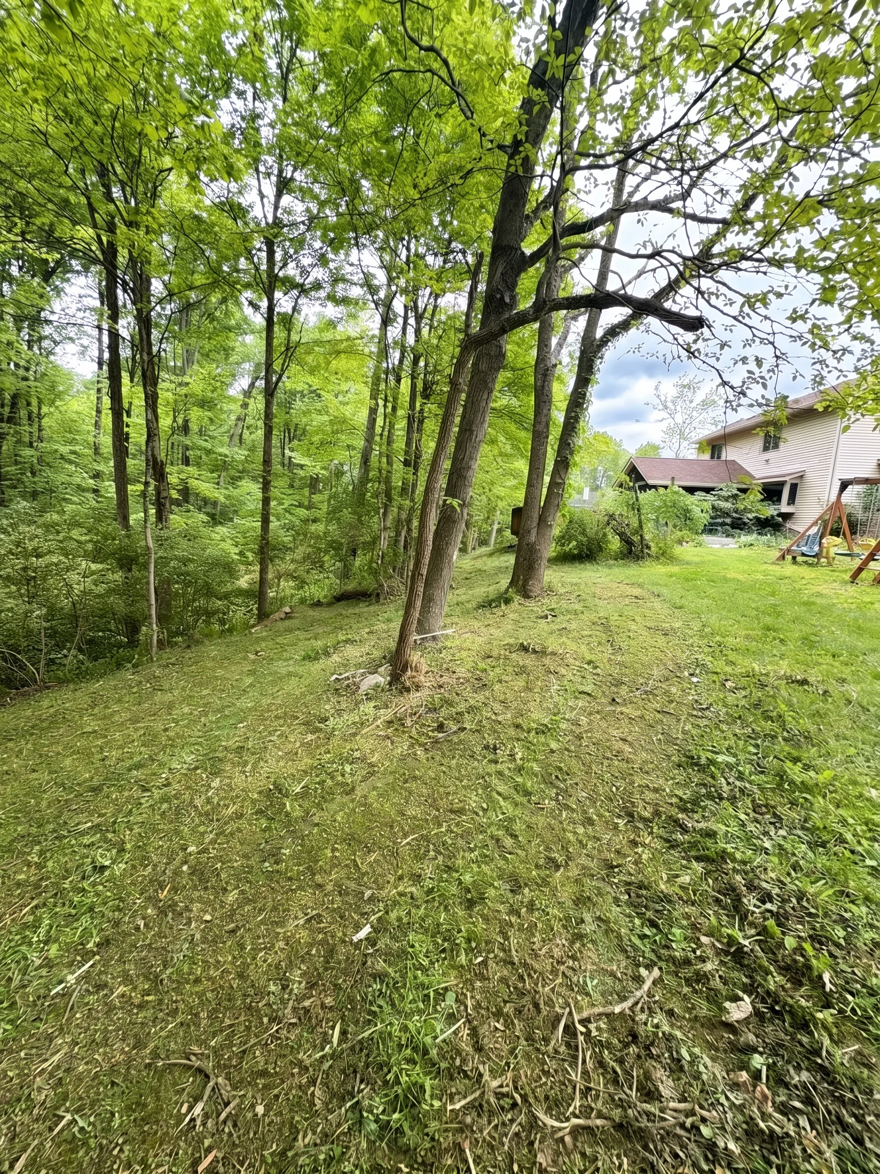 Hillside Mulching maintained by Brushworks