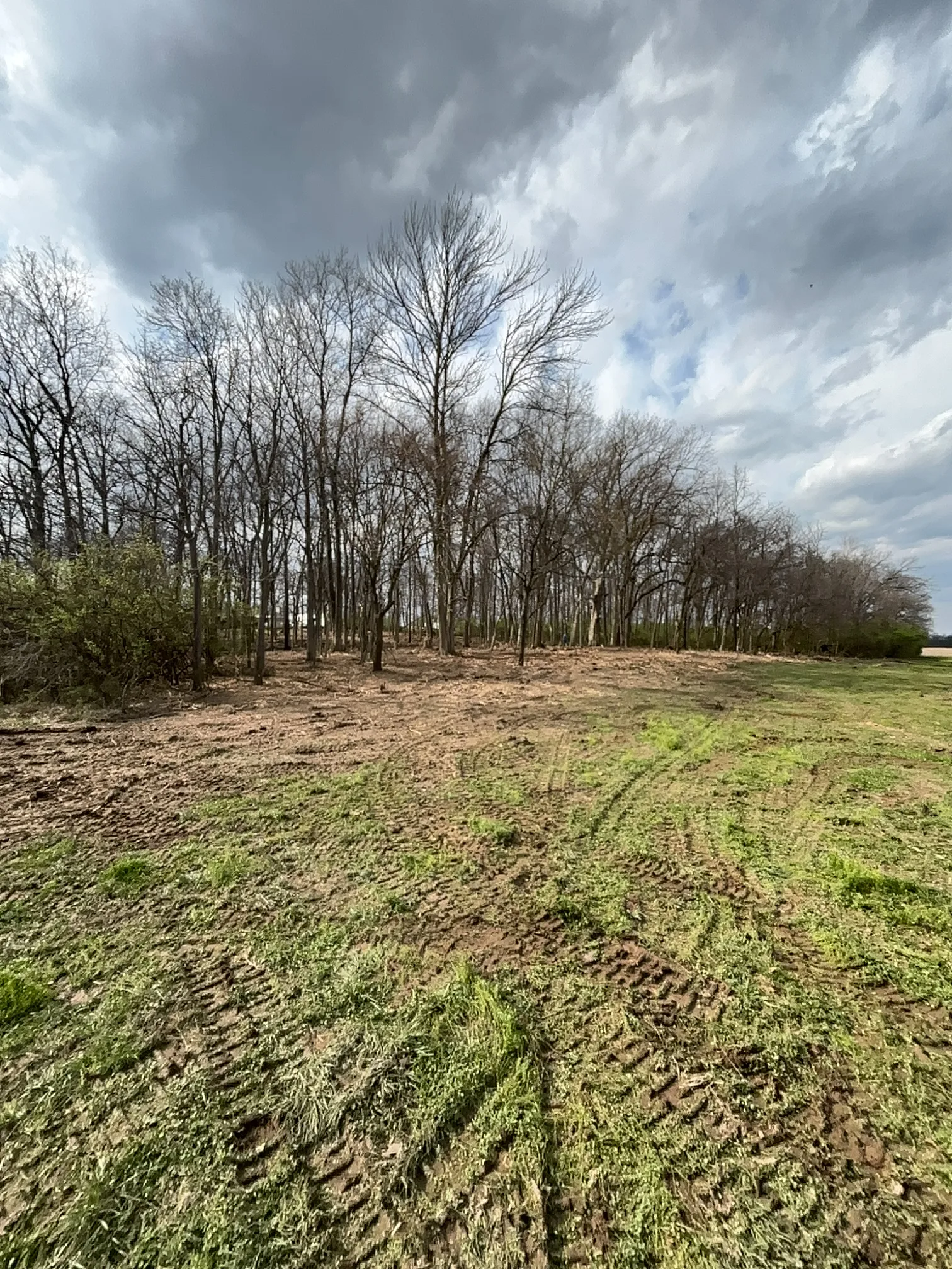 Forestry Mulching after clearing by Brushworks