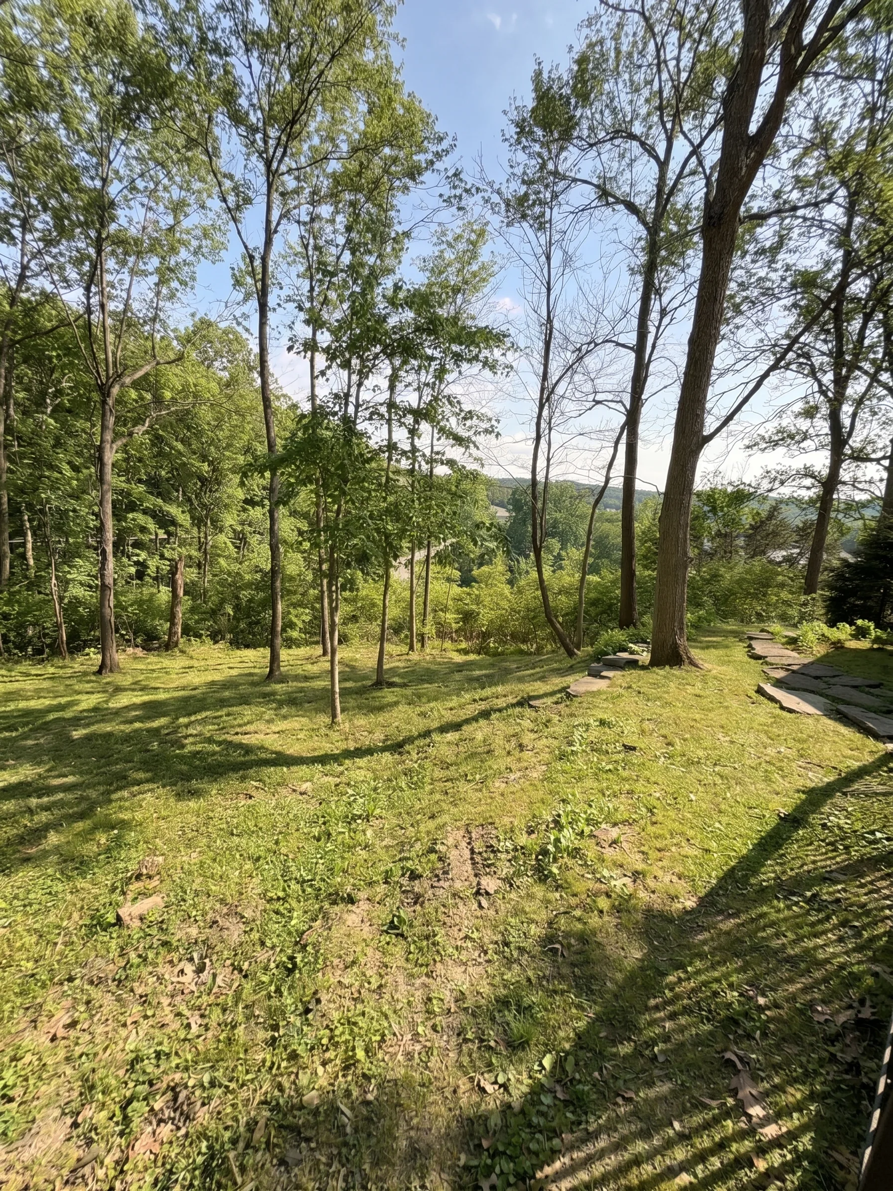 Trail & Brush Cleanup maintained by Brushworks