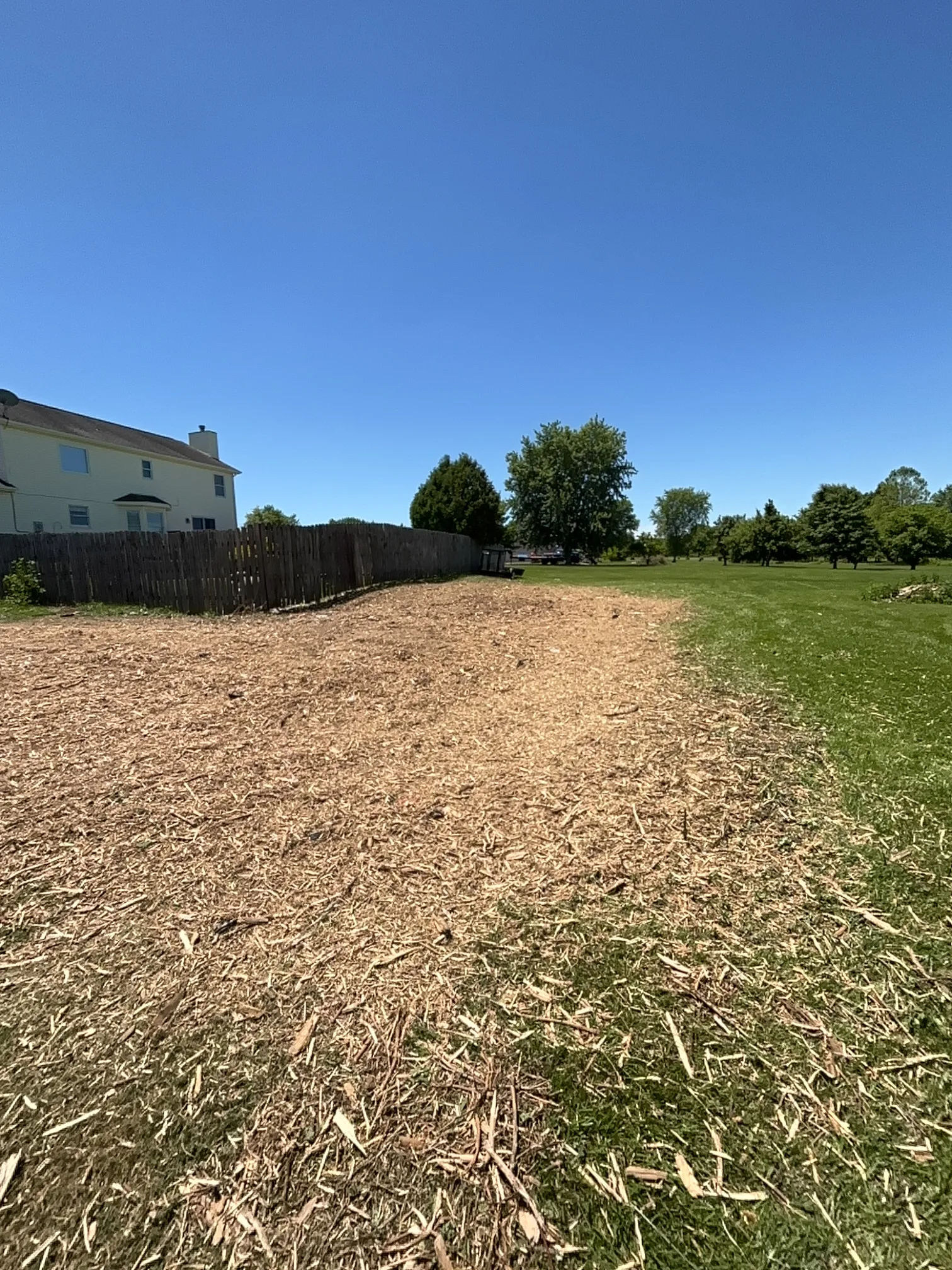 Back Yard Cleanup after clearing by Brushworks