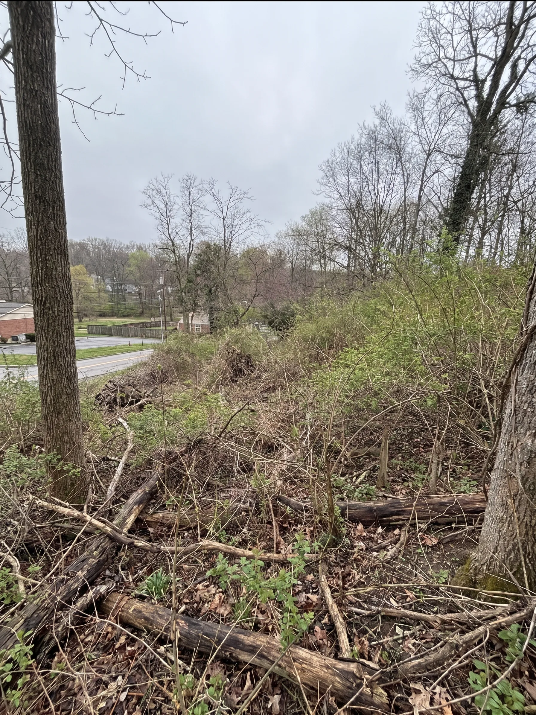 Hillside Mulching before by Brushworks