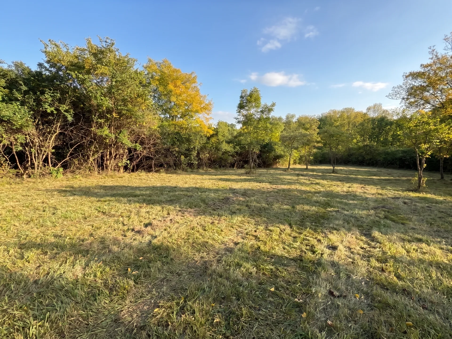 Property Opening maintained by Brushworks