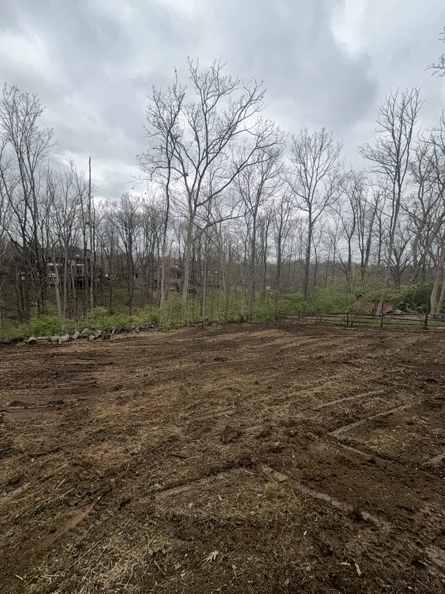 Back Yard Reclaim after clearing by Brushworks