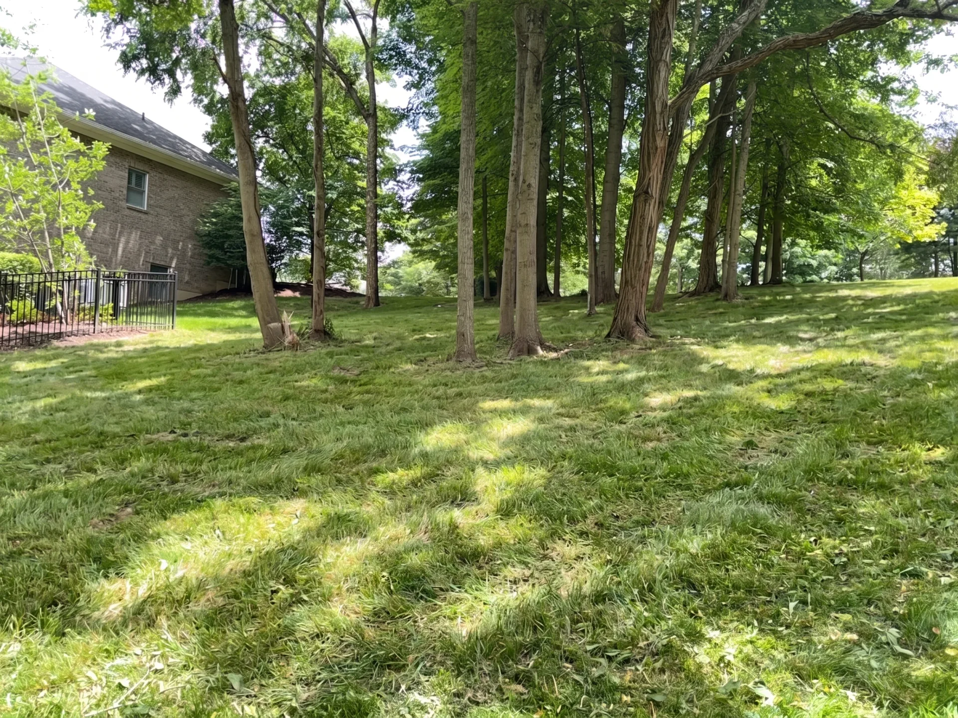 Slope Cleanup maintained by Brushworks