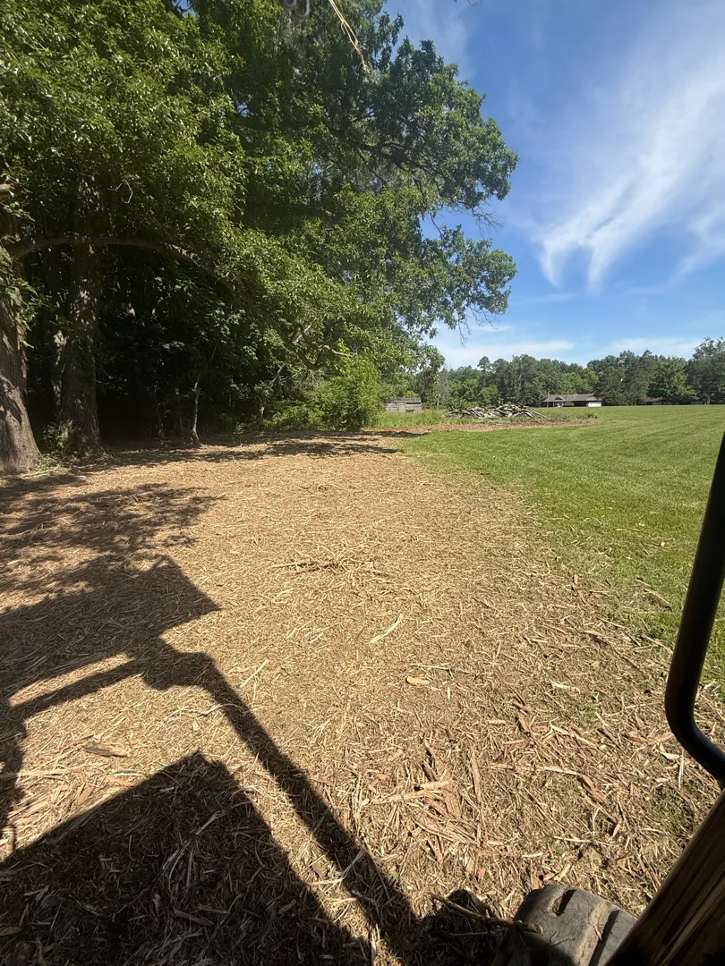 Pond & Fence Line Cleanup after clearing by Brushworks