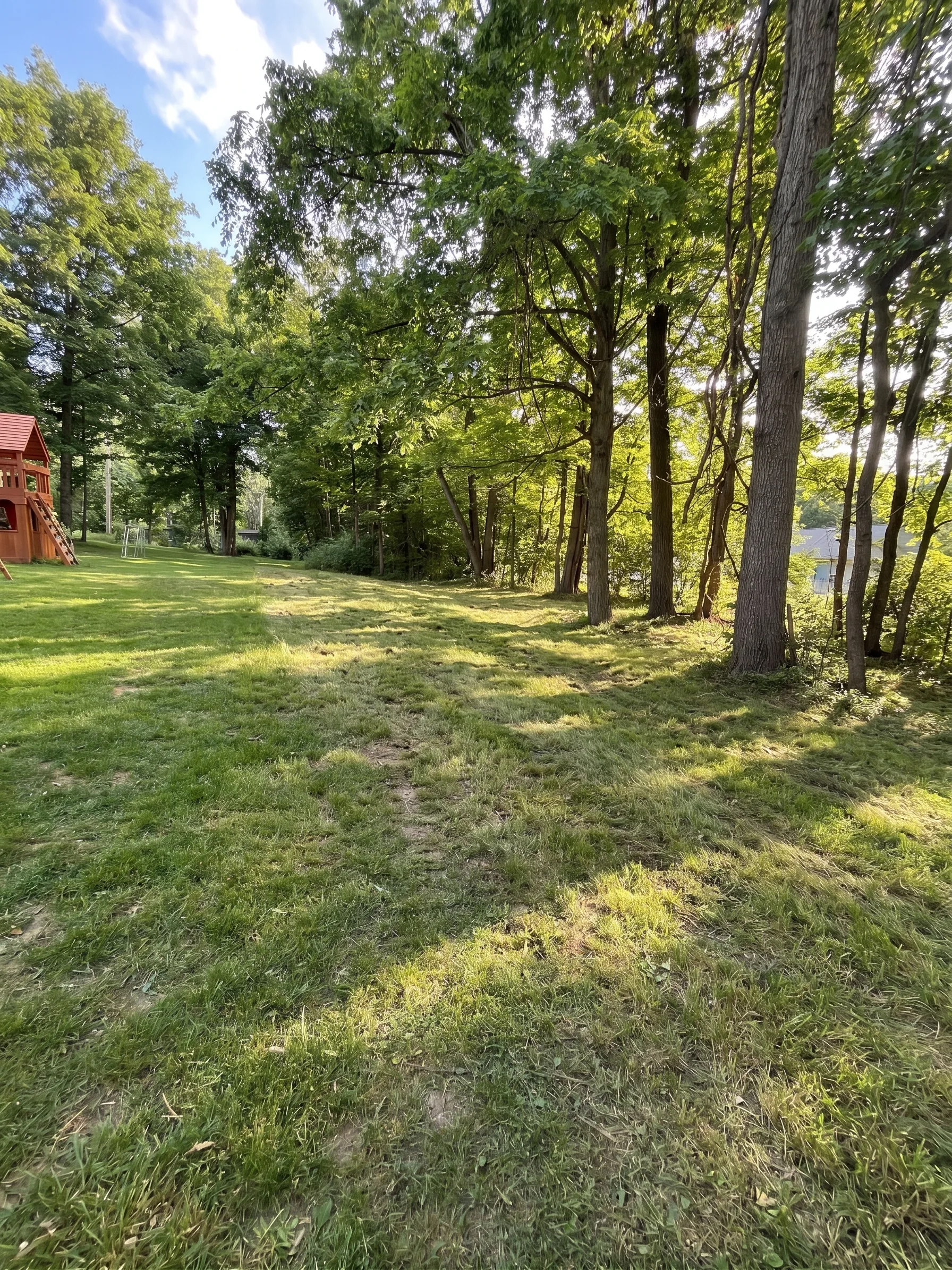 Forestry Mulching maintained by Brushworks