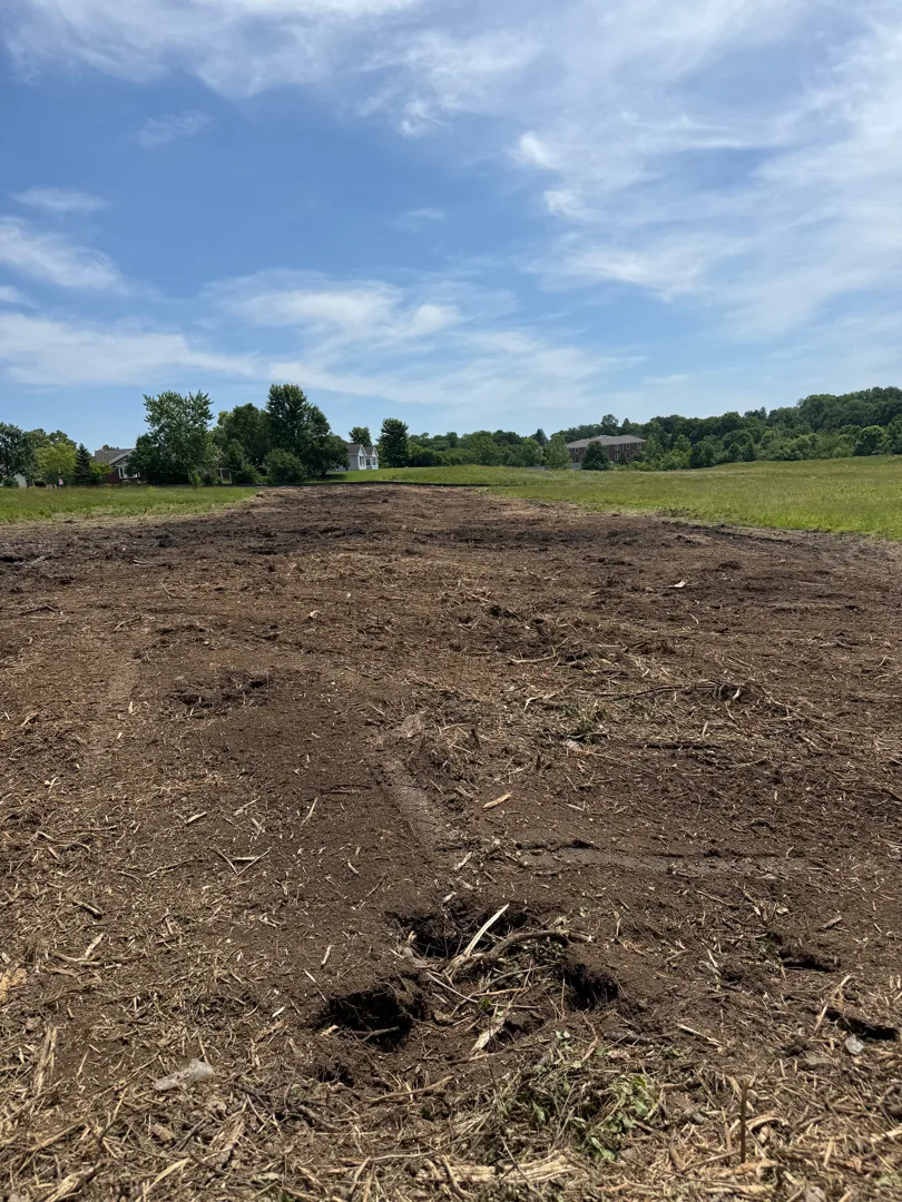 Forestry Mulching after clearing by Brushworks