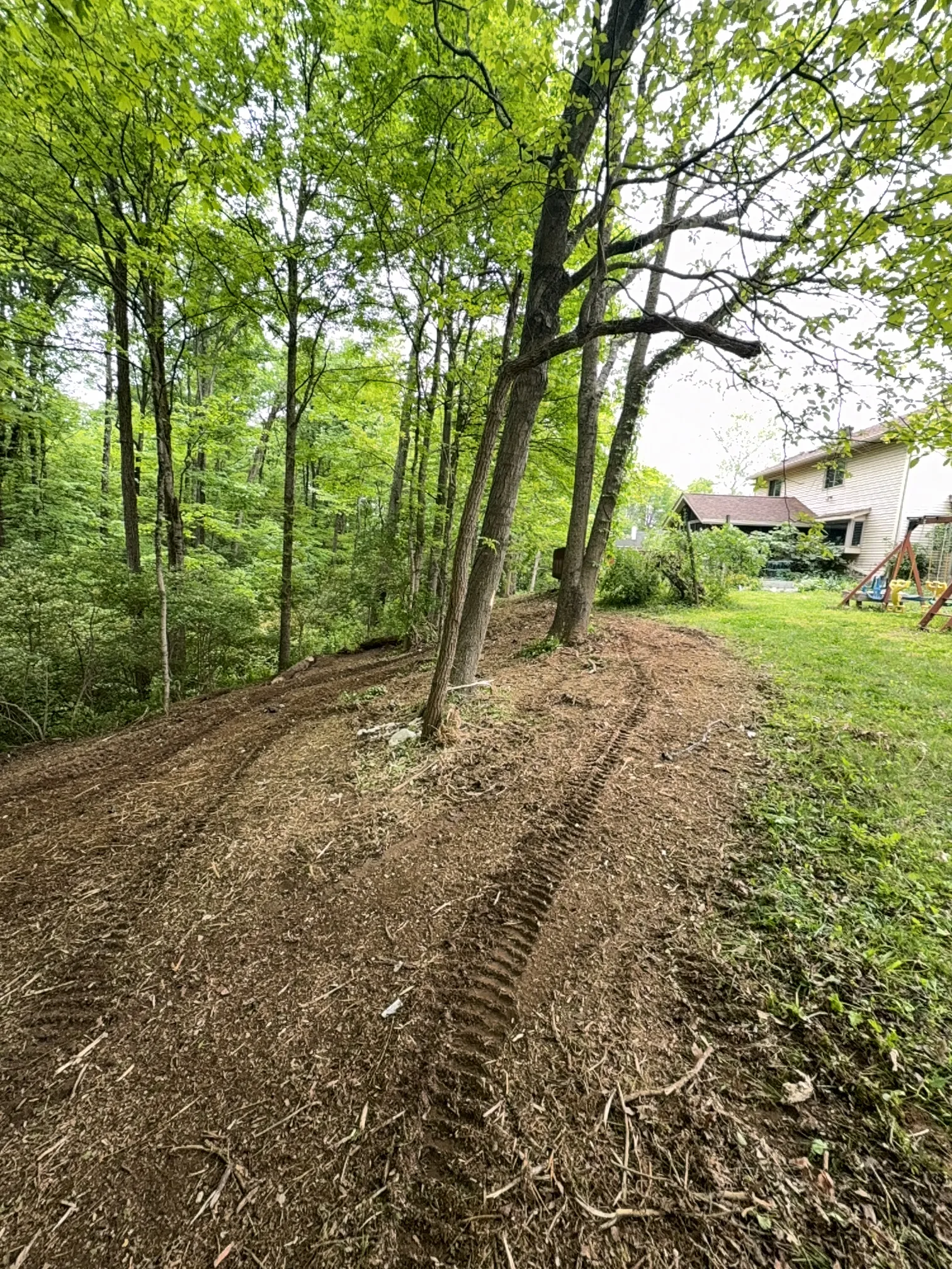 Hillside Mulching after clearing by Brushworks