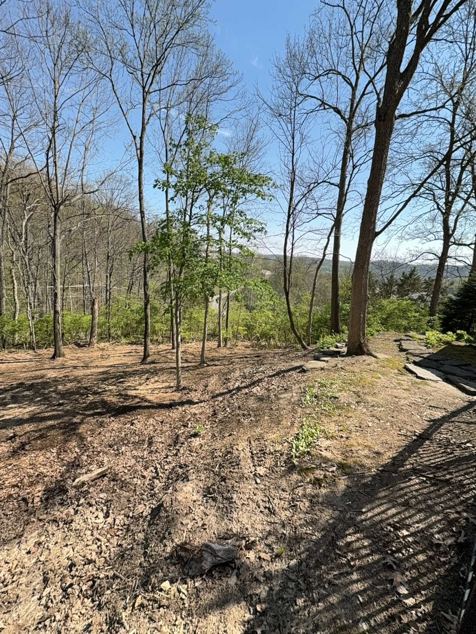 Trail & Brush Cleanup after clearing by Brushworks