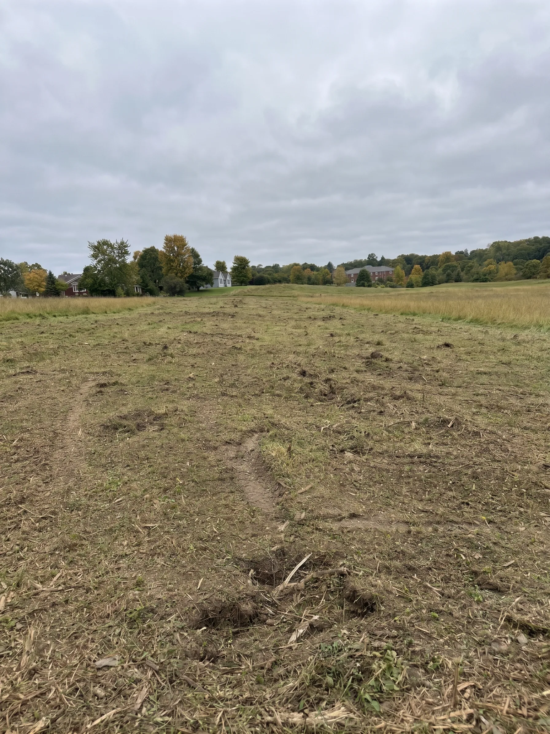 Forestry Mulching maintained by Brushworks