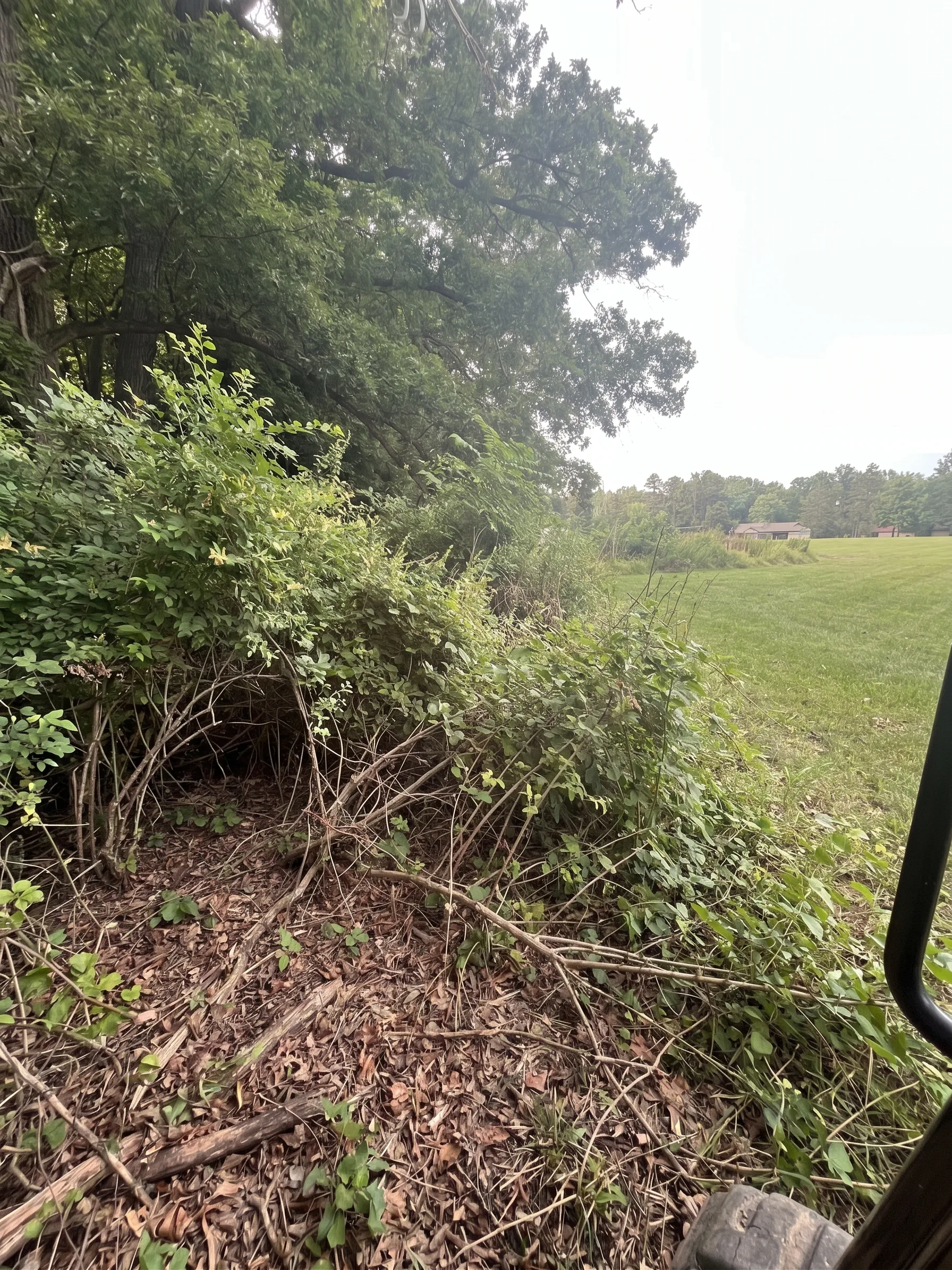 Pond & Fence Line Cleanup before by Brushworks
