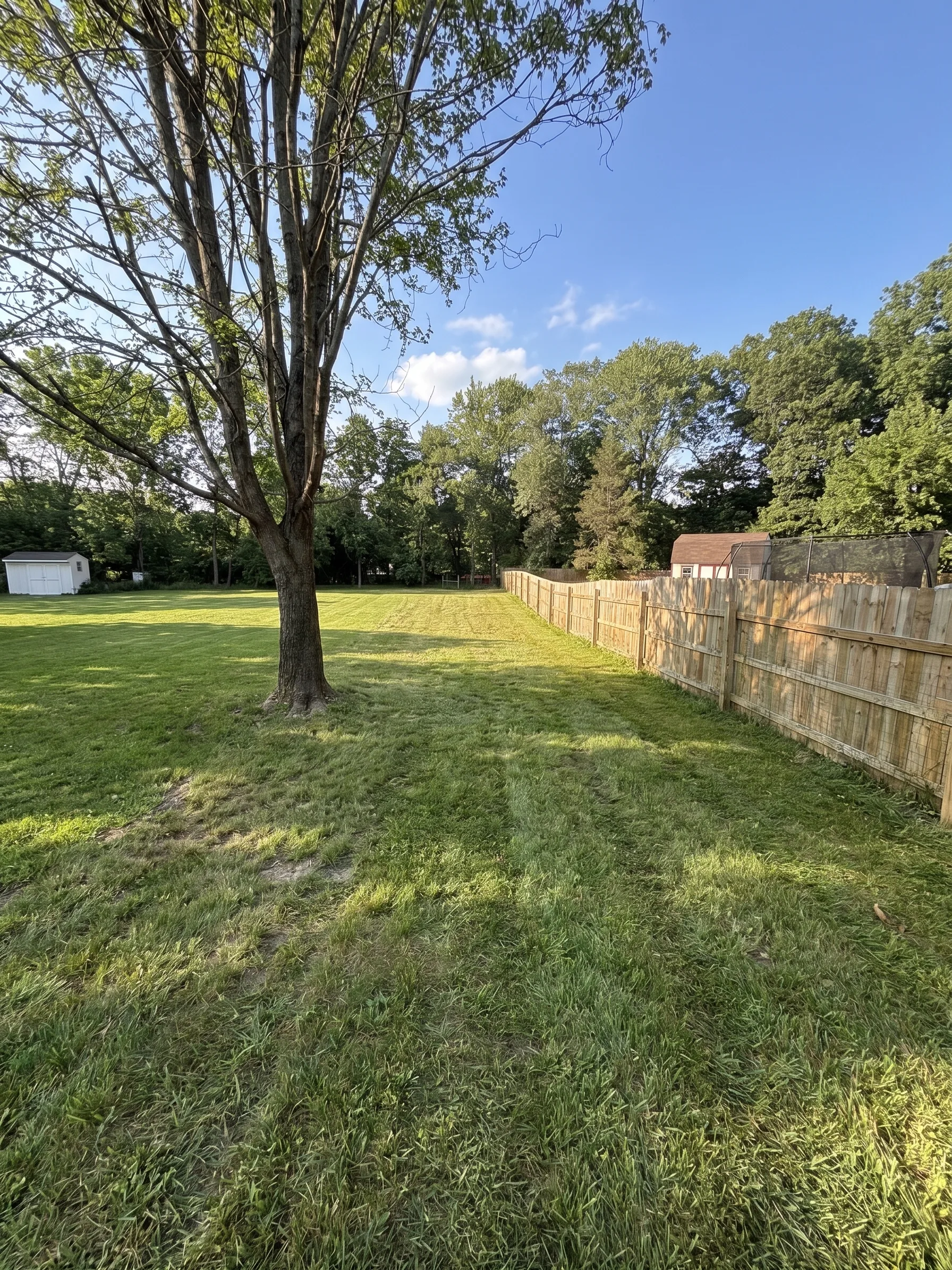 Property Reclaim maintained by Brushworks