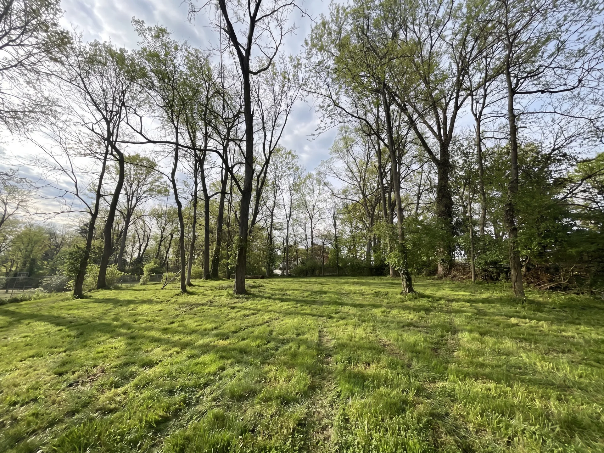 Woodline Opening maintained by Brushworks
