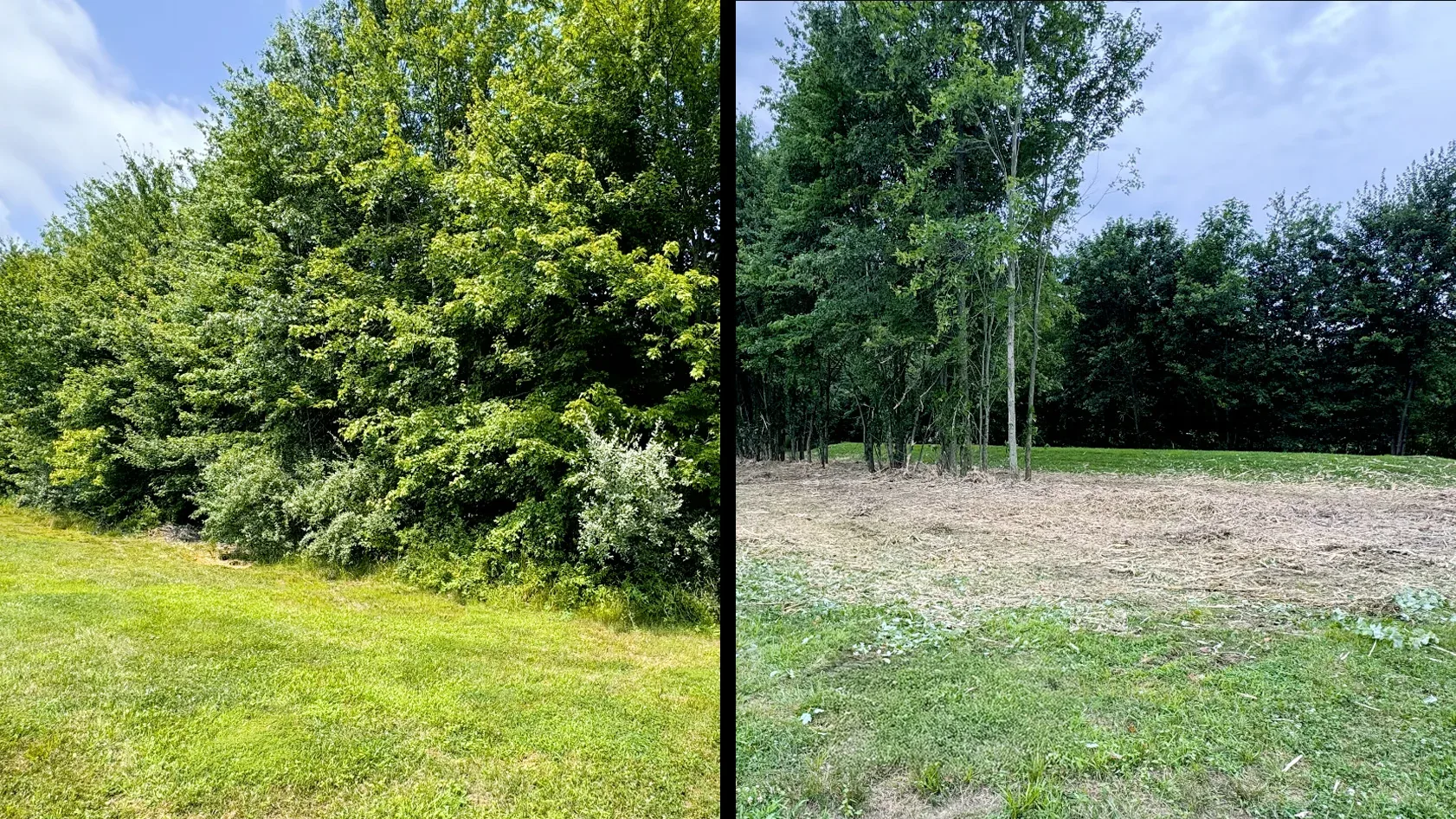 Land clearing results Clermont County Ohio