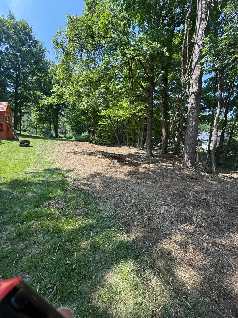Forestry Mulching after clearing by Brushworks