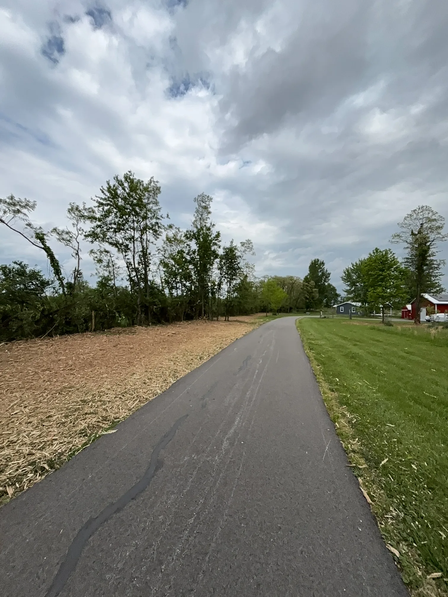 Land Clearing Cleanup after clearing by Brushworks