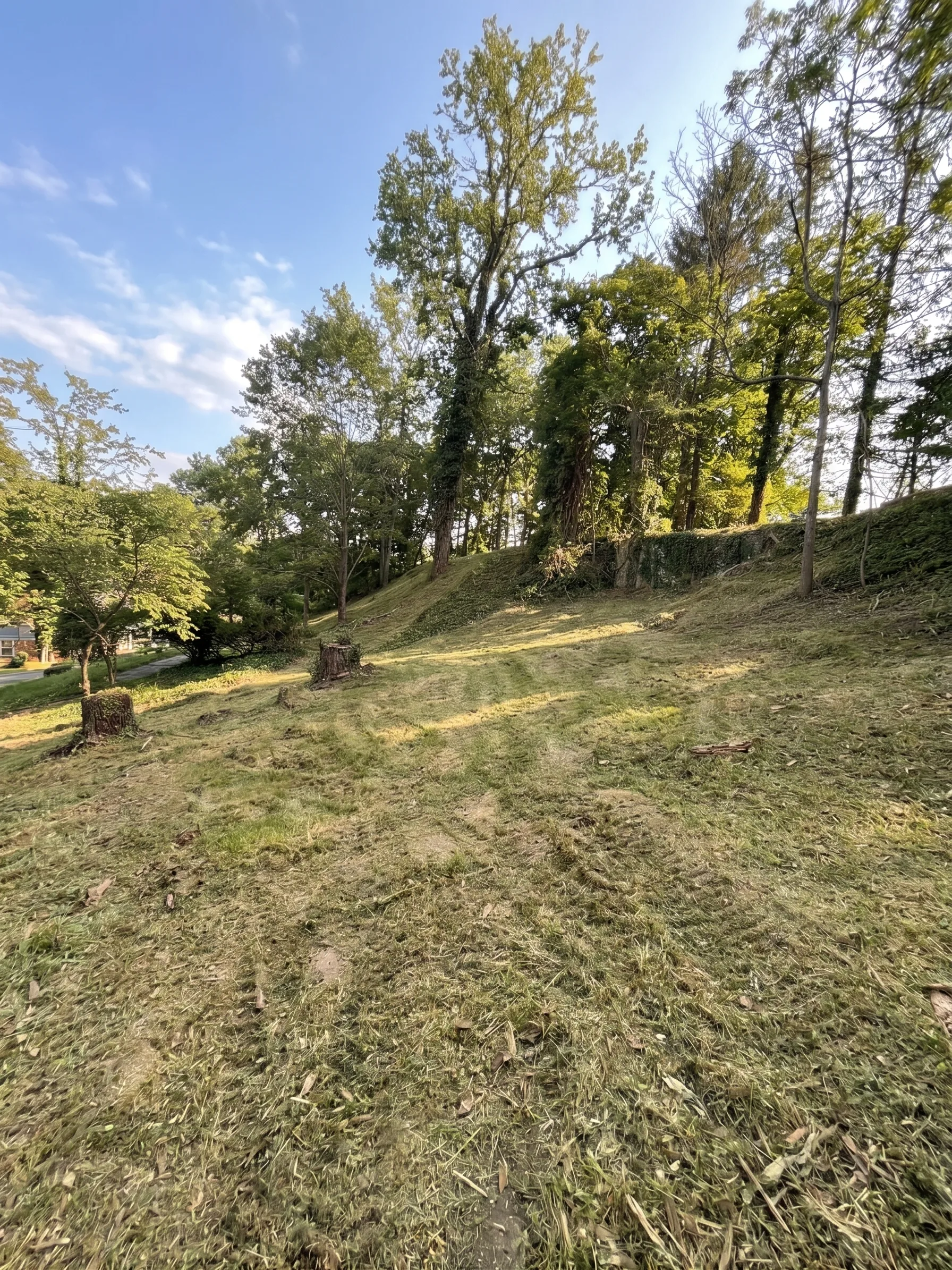 Hillside Mulching maintained by Brushworks